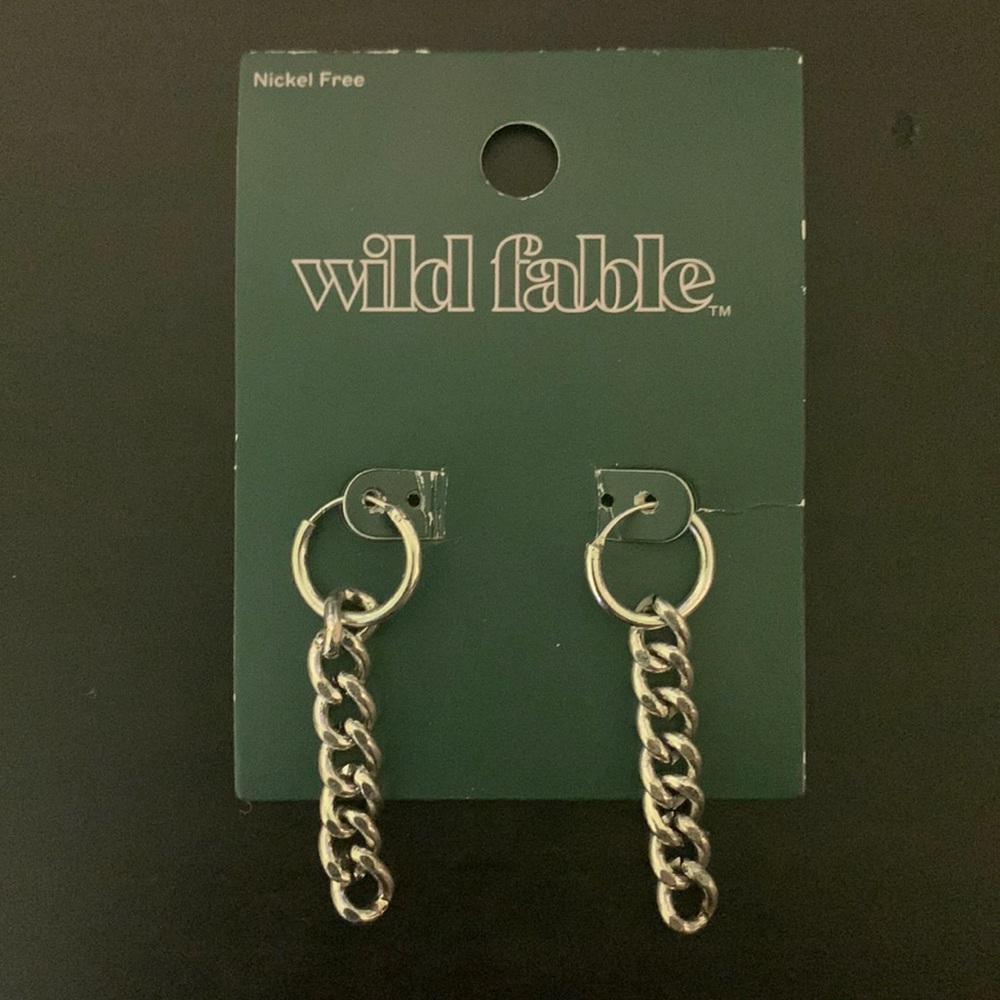 Target Wild Fable Silver Nickle-free Chain Link Hoop Earrings